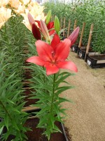 [4048 Break Out No101.JPG]